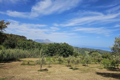 Terra a Collesano, Palermo, Collesano - € 16.000 | Ref: 10638 - foto 5